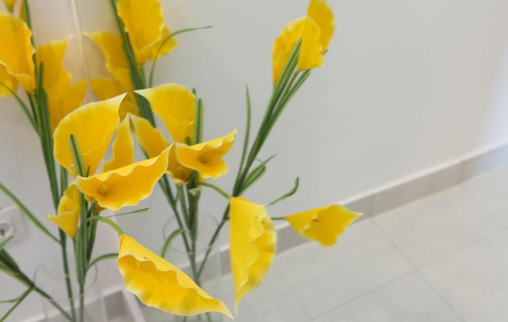 Apartmani Nika Dubrovnik Habitación foto