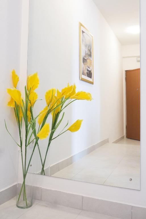 Apartmani Nika Dubrovnik Habitación foto